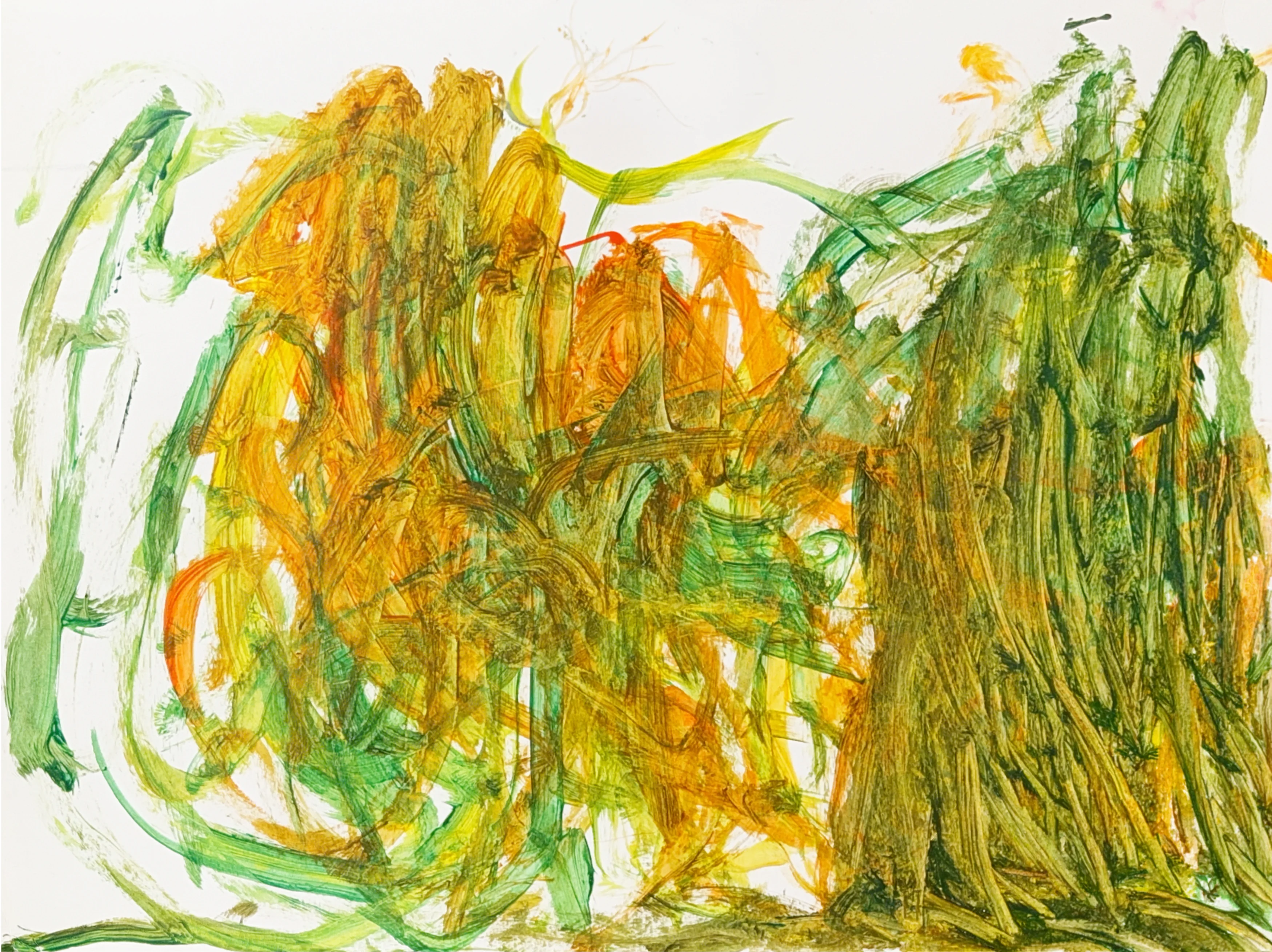 Thumbnail — The Land of Vines